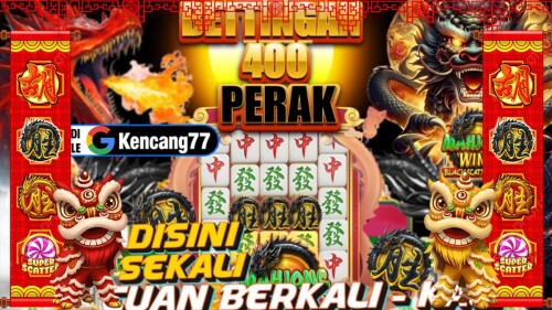 news-id-311b4c4ad556c18da8.jpg