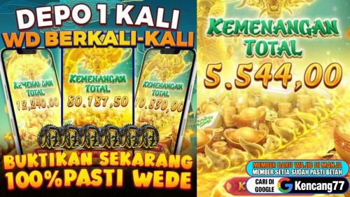 Stip-dokumenter-134f44ef25ff49f841.jpg