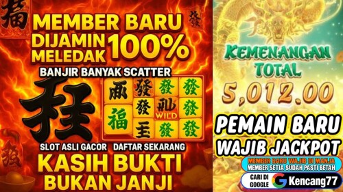 Stip-dokumenter-232acf0b595fc691d0.jpg